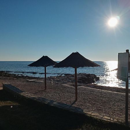 Apartament Sole 1 Novigrad  Zewnętrze zdjęcie