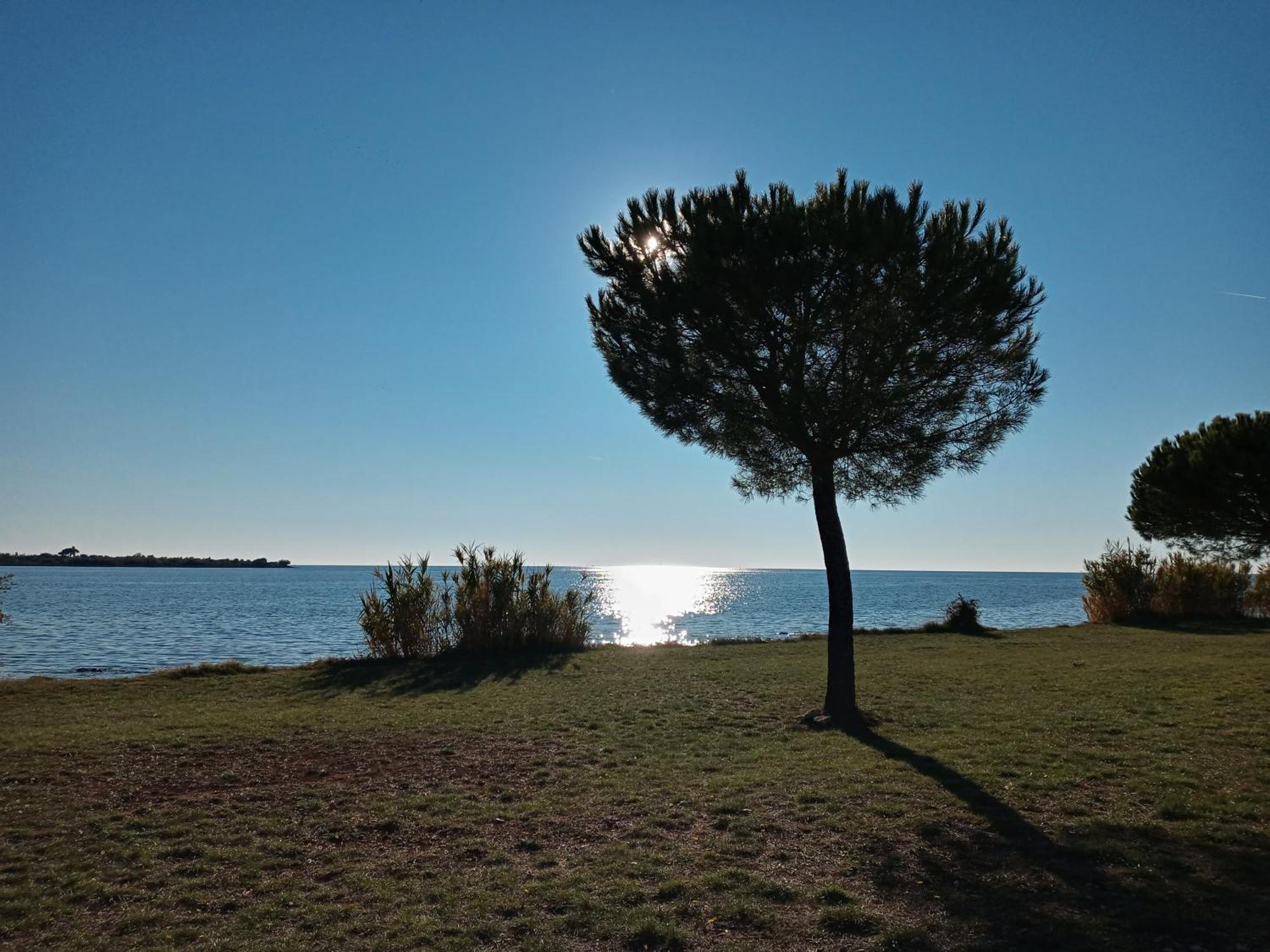 Apartament Sole 1 Novigrad  Zewnętrze zdjęcie
