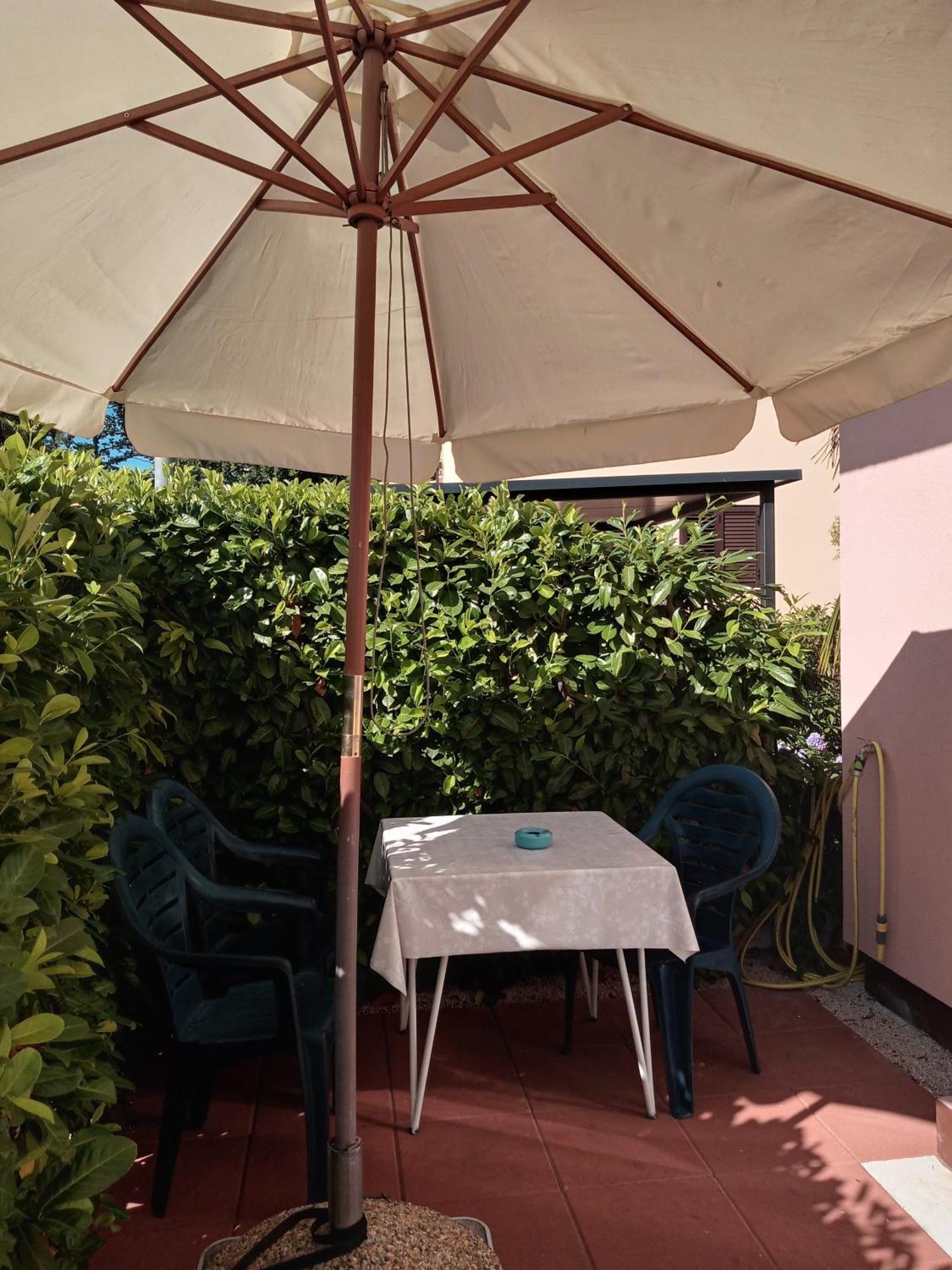 Apartament Sole 1 Novigrad  Zewnętrze zdjęcie