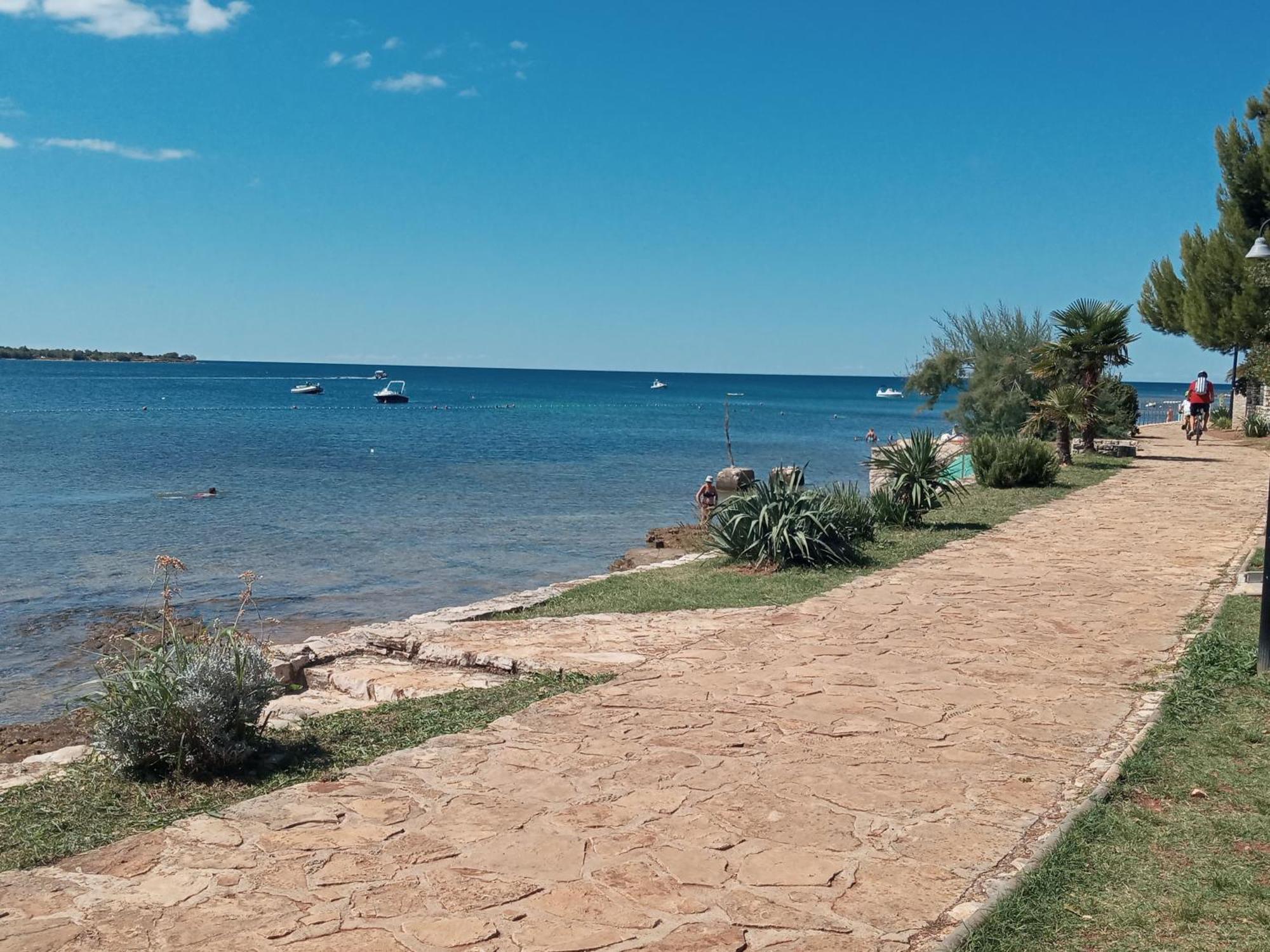 Apartament Sole 1 Novigrad  Zewnętrze zdjęcie
